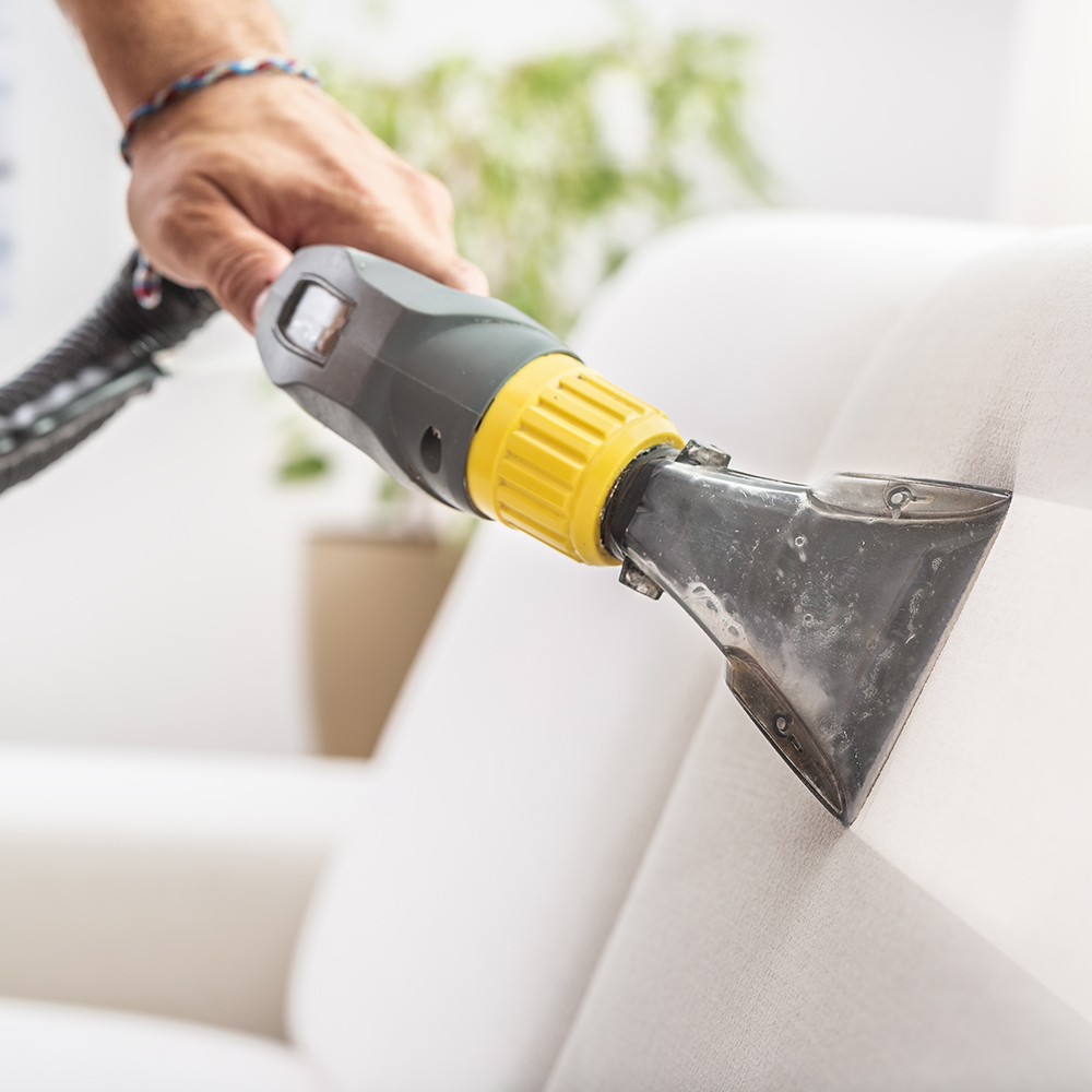 Sofa Steam Cleaning